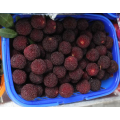 2021 Wholesale Good Quality Chinese Yang Mei Red Waxberry Sweet Red Bayberry